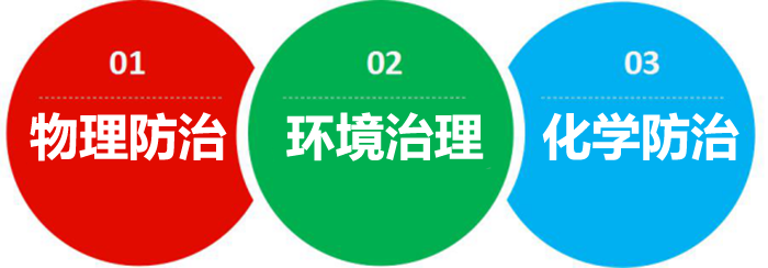 灭臭虫 灭臭虫